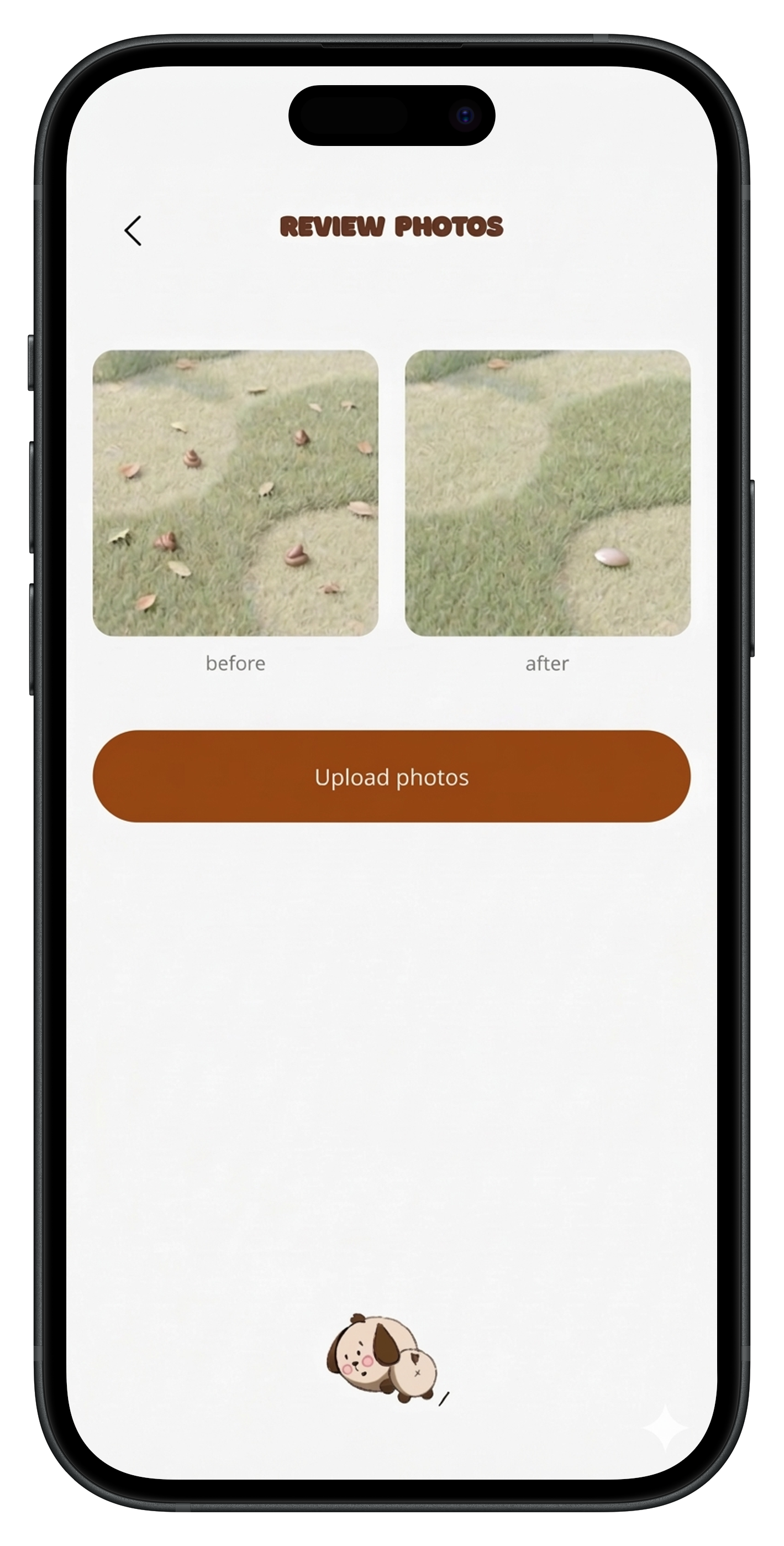 Before and after photos screen